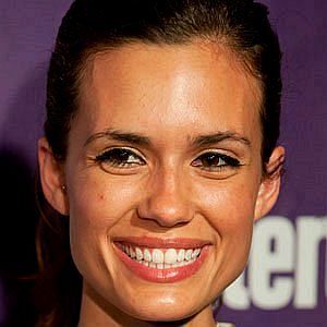 Age Of Torrey Devitto biography