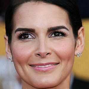 Age Of Angie Harmon biography
