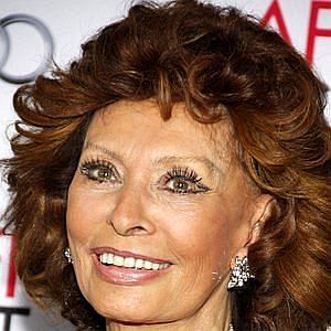 Age Of Sophia Loren biography